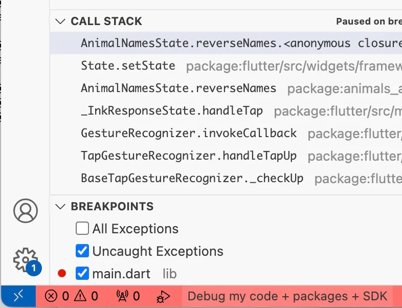 Flutter SDK debugging.